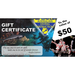 Gift Certifcate